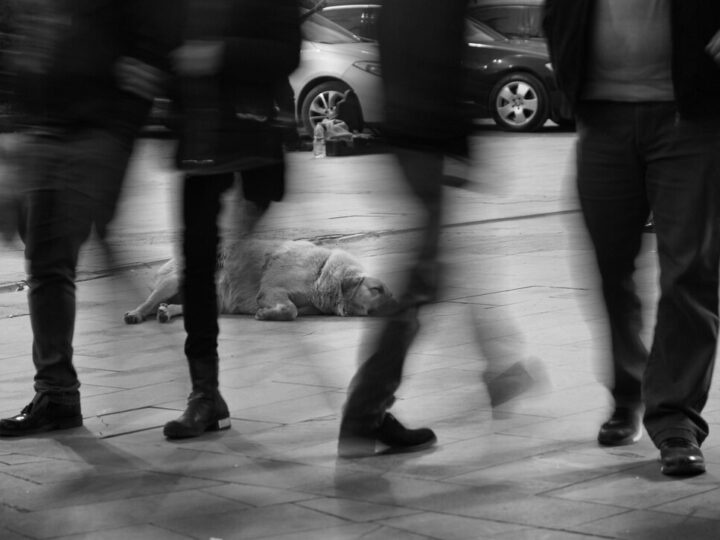 Tragiczny wypadek na Bielanach: Kierowca wjechał w pieszych, dwie ofiary śmiertelne