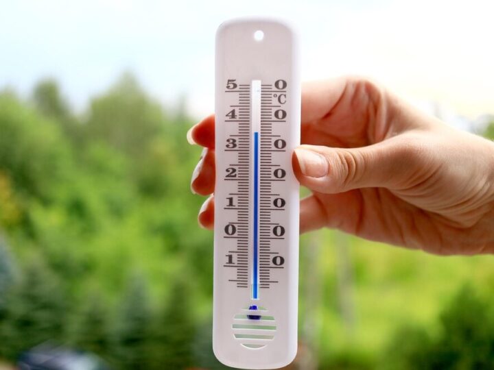 Ciepły dzień w Warszawie: 25°C i idealne warunki na świeżym powietrzu!