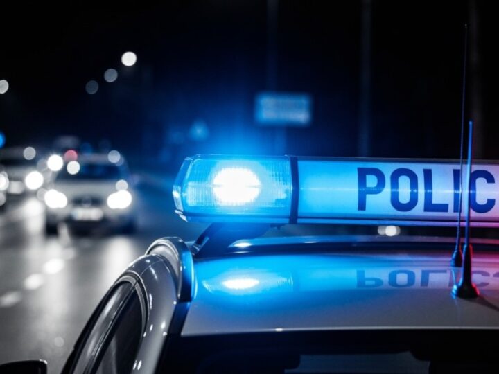 Skradziony samochód z psem w klatce – mieszkańcy Bielan w akcji!