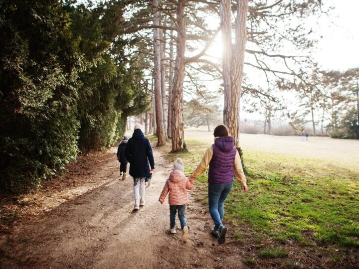 ZUS w Wesołej: Spotkaj ekspertów i odkryj świadczenia dla rodzin i seniorów!