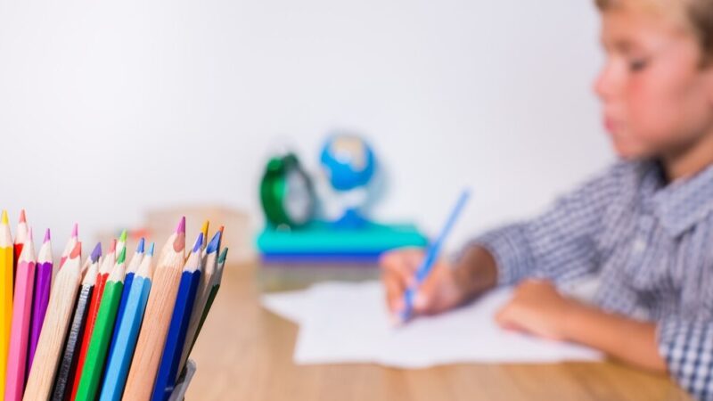 Liście, cykl życia i przyjaźń – fascynujące warsztaty dla dzieci w bibliotece