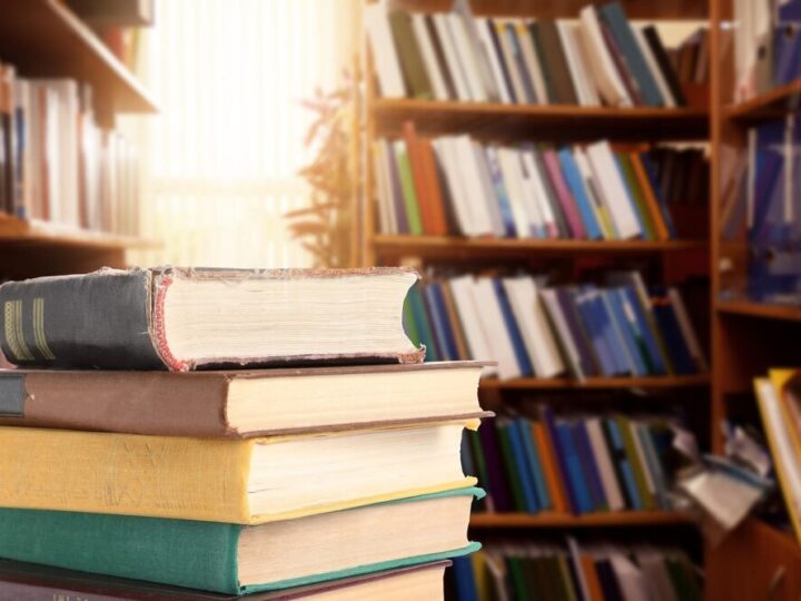 Gdynia w literackim świetle: Spotkanie z Aleksandrą Boćkowską w Wypożyczalni