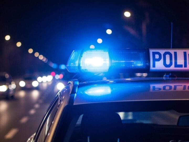 Błyskawiczne aresztowanie złodzieja z centrum handlowego