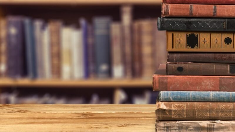 Baśniowe Spotkanie: Wilk i Sowa w Bibliotece Dziecięcej