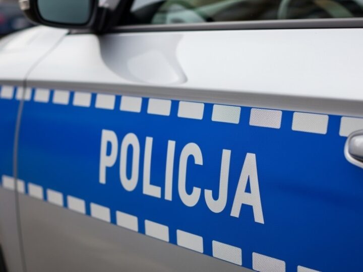 Atestacja policyjnych jeźdźców i koni w szczegółach