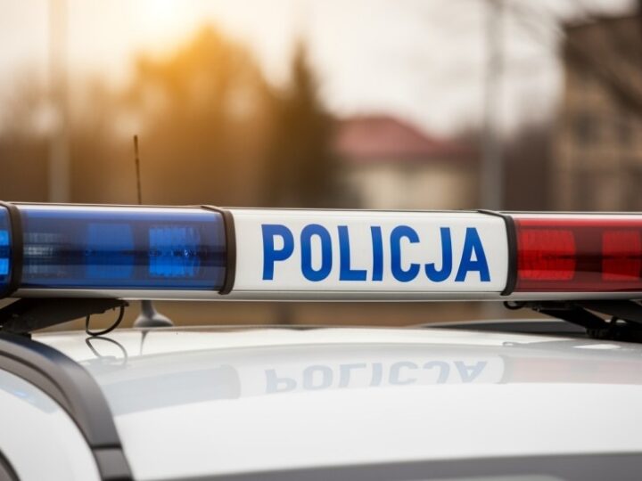 Bezpieczne przedszkola z policyjnym Borsukiem