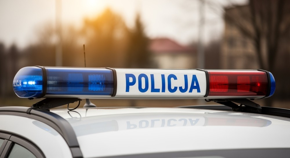 Bezpieczne przedszkola z policyjnym Borsukiem