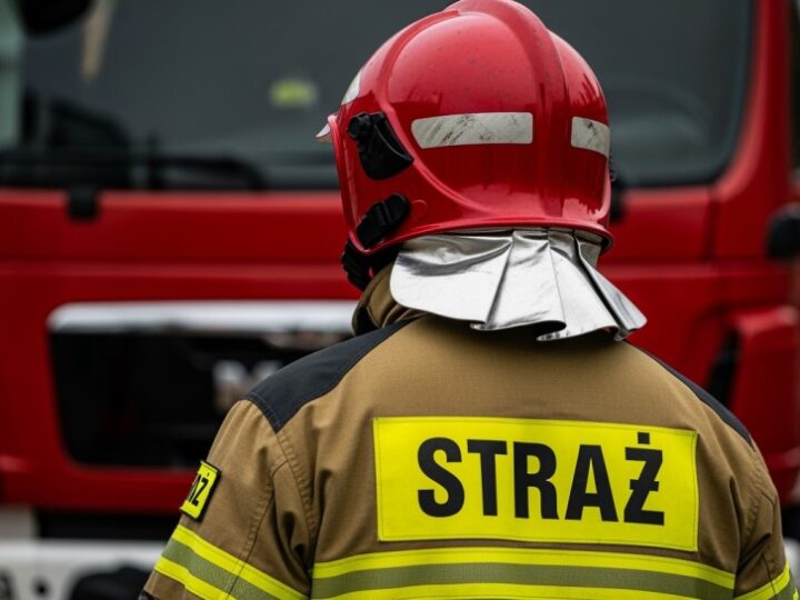 Podpalacze altan w rękach policji!
