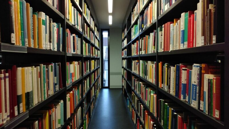 Tatrzańskie opowieści dla dzieci w Bibliotece Nautilus – odkryj nowe książki!