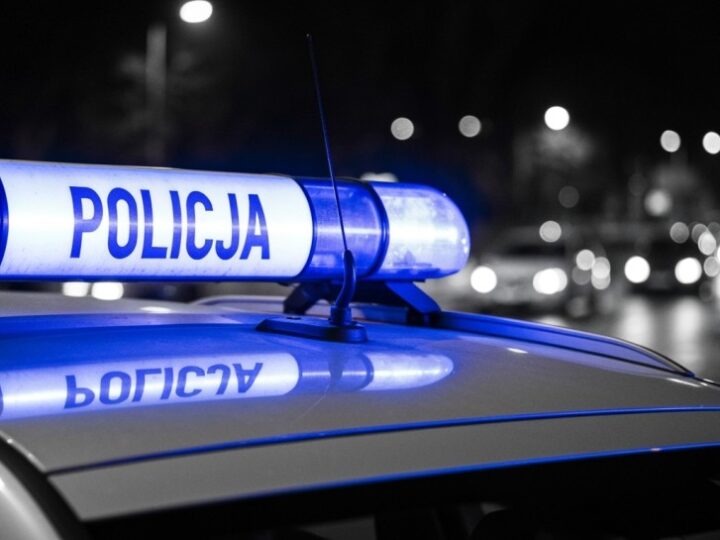 Fałszywe prawo jazdy w rękach młodego kierowcy podczas kontroli w Starych Babicach