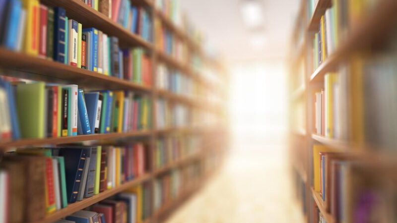 Nowe literackie odkrycia w Wypożyczalni nr 88, które warto przeczytać!