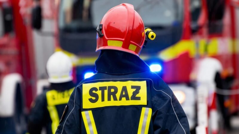 Kampania „Decyzje”: Jak kobiety mogą bezpiecznie korzystać z aplikacji przewozowych?