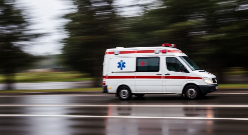 Ochrona lasu: Nasz wspólny obowiązek!