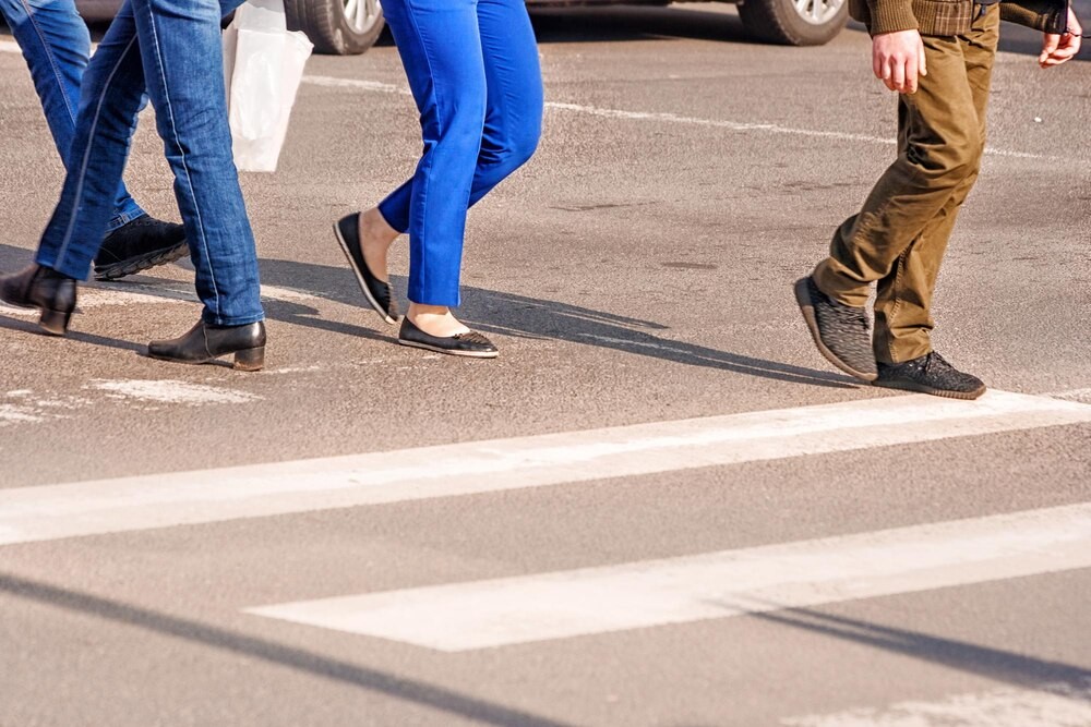 Warszawa wspiera nurogęsi – policja dba o bezpieczeństwo ptaków