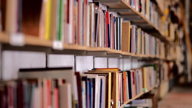 Czerwony Czerwiec: Odkryj Supermoce w Bibliotece dla Dzieci!
