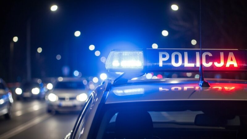 Wołomin: Policja rozbija gang kradzieży samochodów