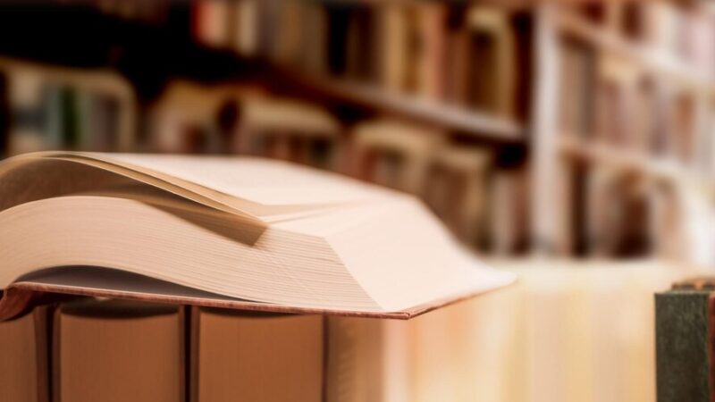 Kapibary w bibliotece: Czytanie, zabawa i nagrody dla dzieci!