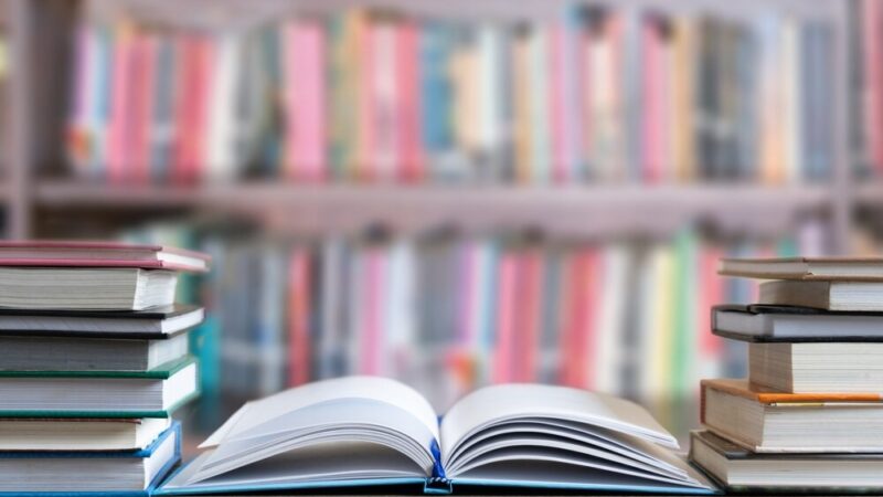 Nowe książkowe skarby w Wypożyczalni 88 – odkryj fascynujący świat literatury!