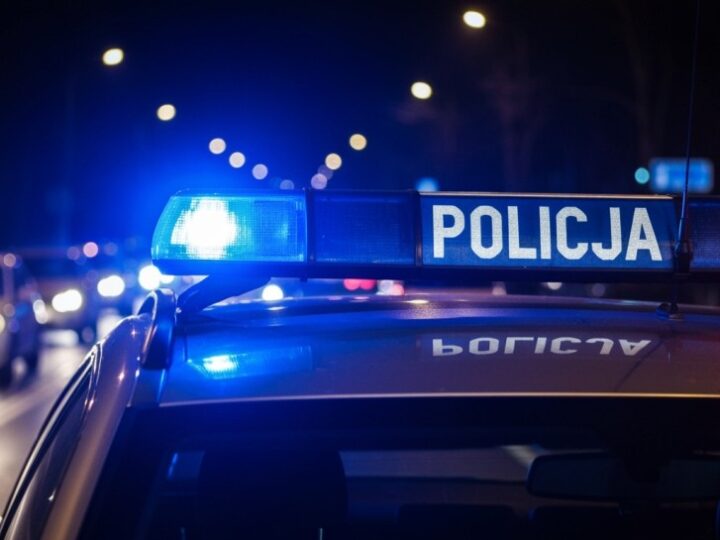 Międzynarodowy przestępca w rękach policji: Zatrzymany za kradzież Toyoty