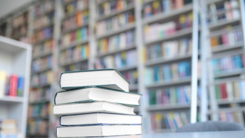 Zmysłowa przygoda z książkami dla dzieci w Białołęce