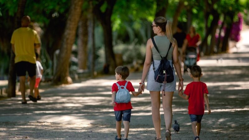 Adoptuj przyjaciela na całe życie: Karmen, Fąfel i Maya czekają!