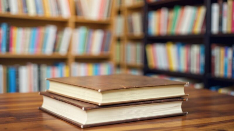 Lato z książkami w Bibliotece Publicznej na Białołęce!