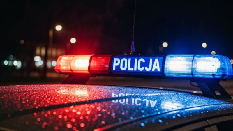 Policja rozbija litewski gang kradzieży aut w Warszawie