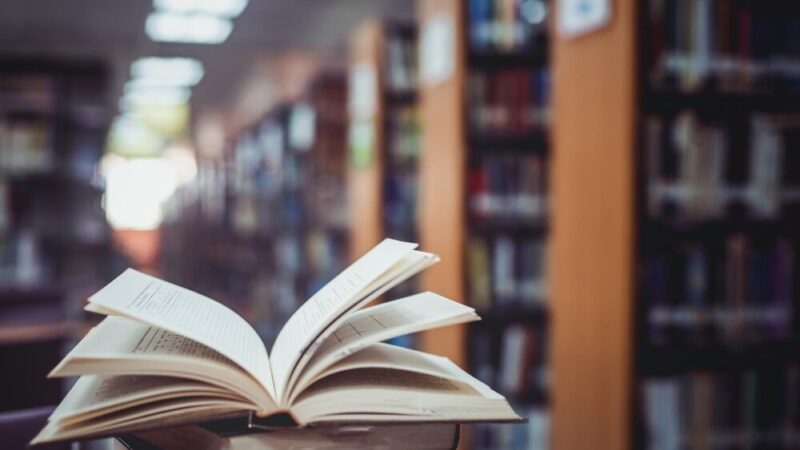 Letnie skarby w Bibliotece Zielonej: odkryj książki z niespodziankami!
