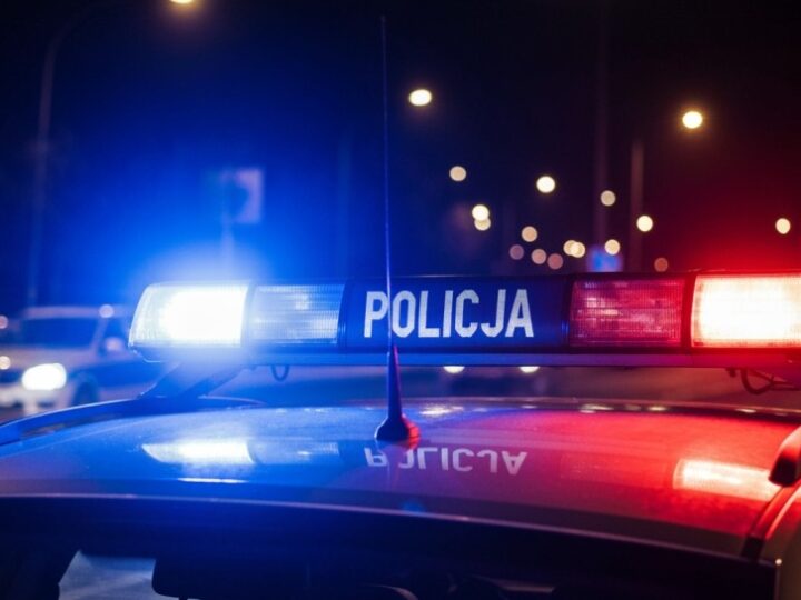 Interwencje wobec osób z zaburzeniami psychicznymi: rosnące wyzwania dla policji
