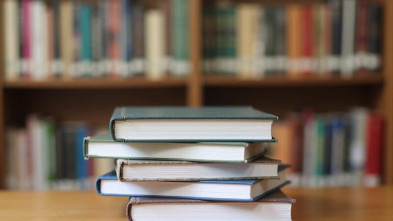 Odkryj fascynujący świat owadów w bibliotece Nautilus!