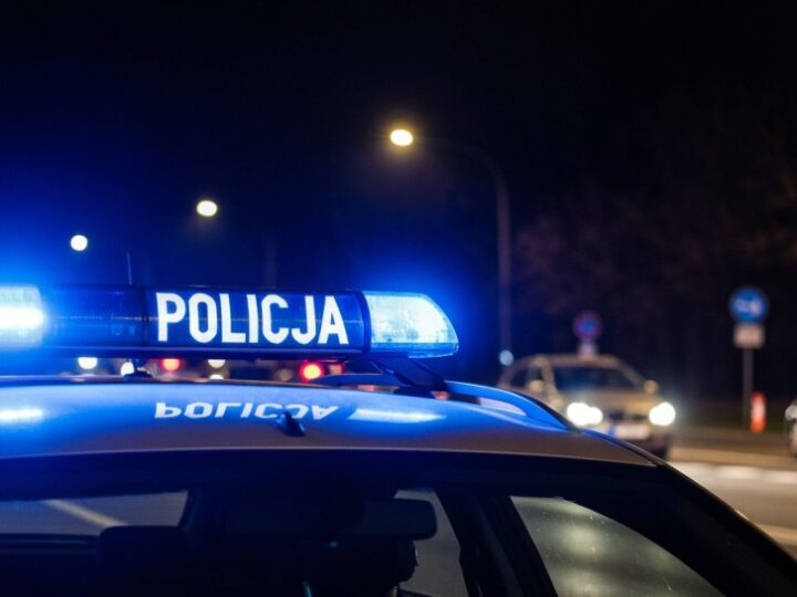 Zatrzymani przestępcy z siatki paserów samochodowych w Wołominie