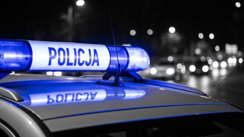 Zagadkowa śmierć łosia w Arciechowie: Policja prosi o pomoc świadków