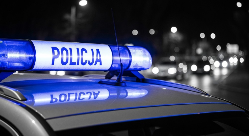 Zagadkowa śmierć łosia w Arciechowie: Policja prosi o pomoc świadków