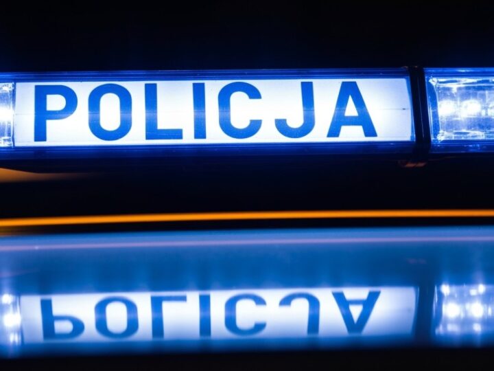 Ukryta tożsamość kierowcy z Uzbekistanu ujawniona podczas kontroli
