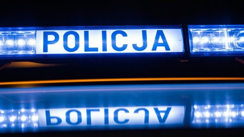 Ukryta tożsamość kierowcy z Uzbekistanu ujawniona podczas kontroli