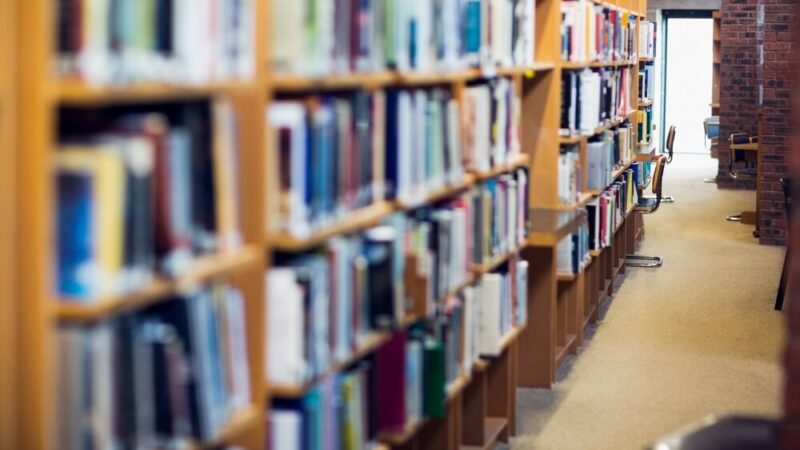 Odkryj magię książek i Minecrafta w Bibliotece Czwórka!