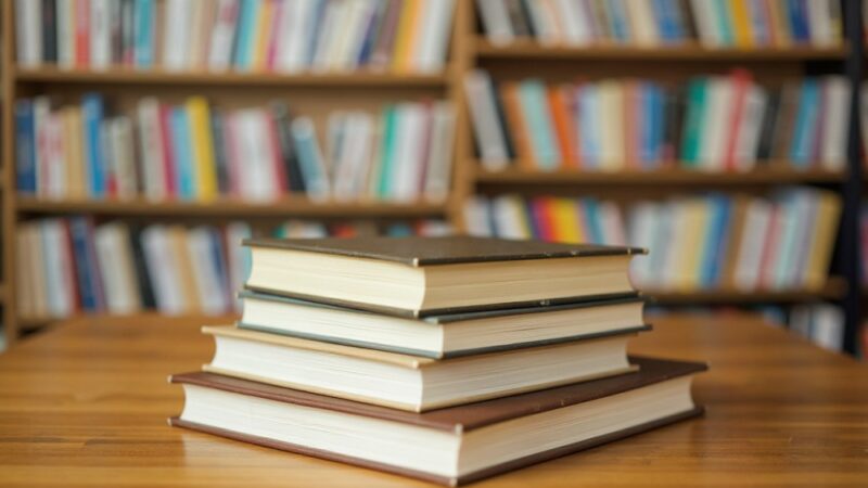 Sztuka i tygrysy w bibliotece. Spotkanie z Katarzyną Rygiel dla młodych czytelników