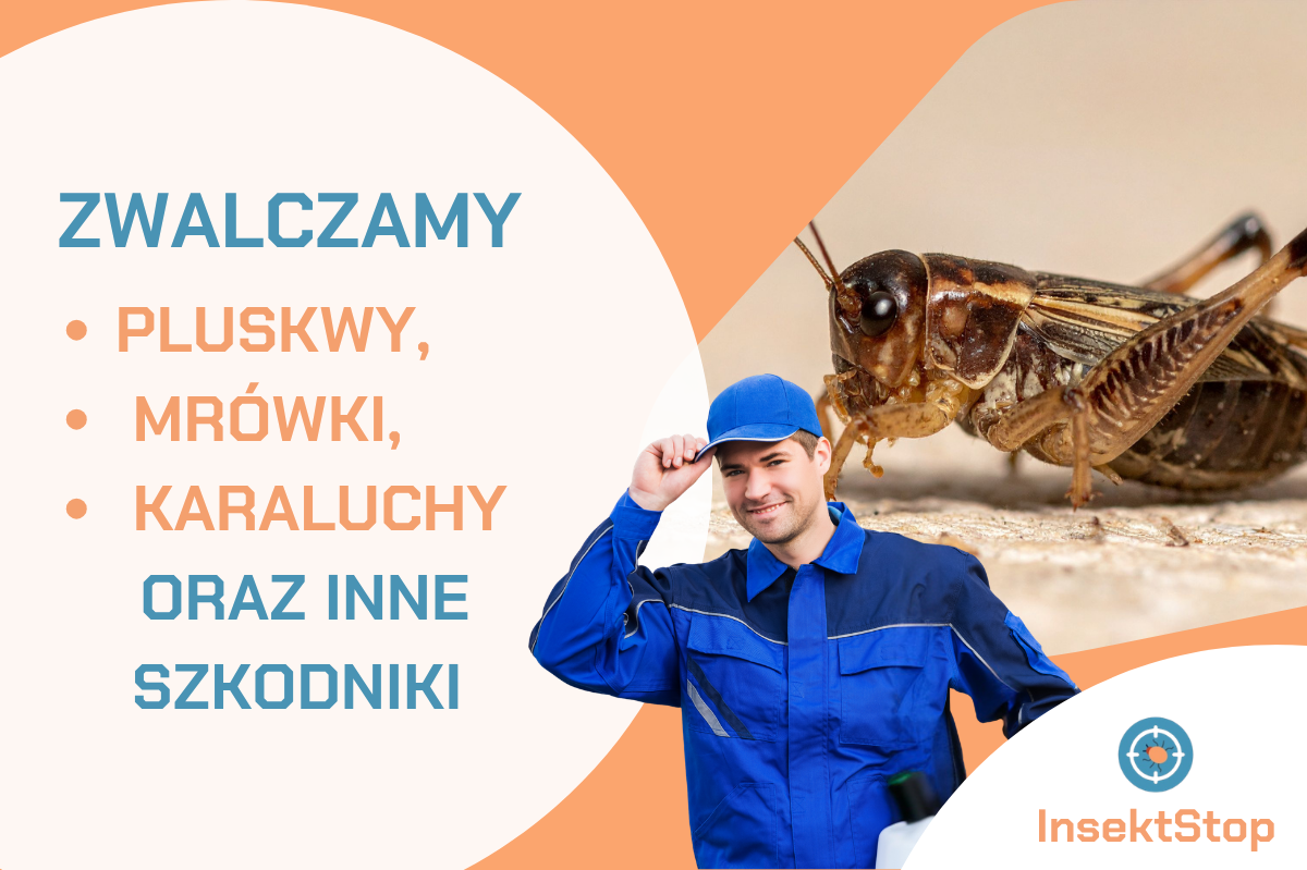 firma ddd z Warszawy