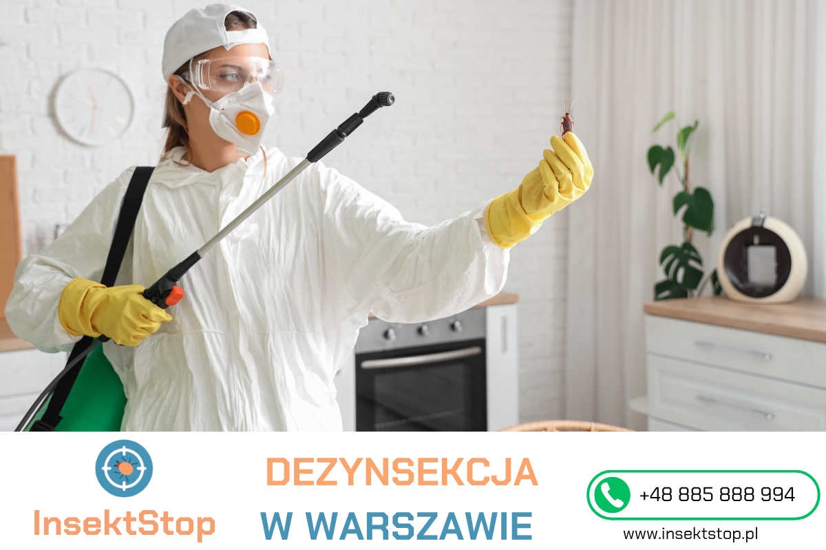 dezynsekcja w Warszawie