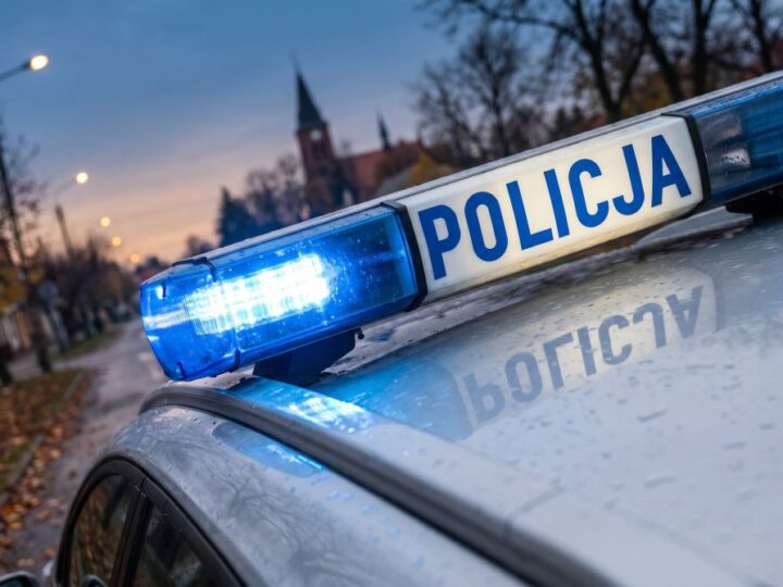 Pozbyła się telefonu przed przyjazdem patrolu, nie uniknęła zarzutów