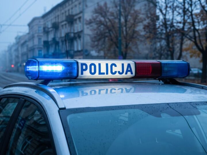 Wpadli w sidła: Trio oszustów za kratkami po policyjnej akcji