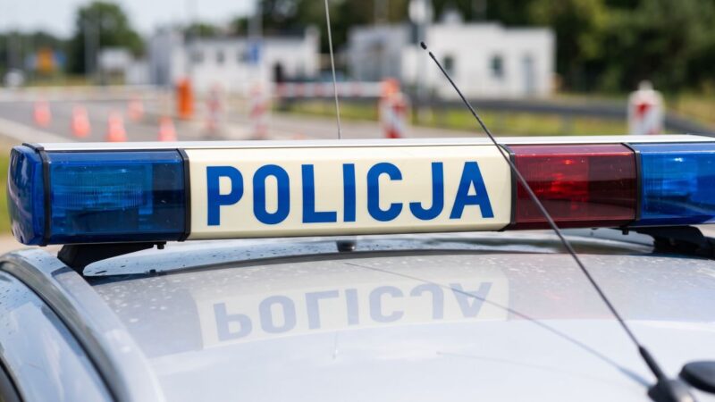Zemsta na polu? 41-latek sabotował kukurydzę metalowymi kolbami